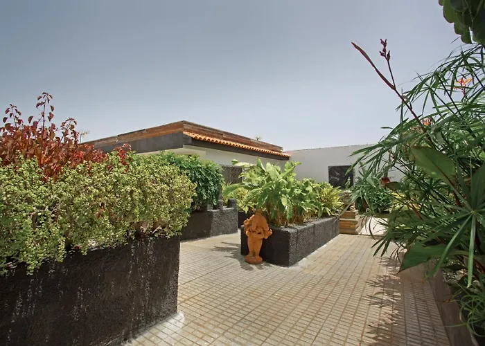 Apartamento Acogedor En La Laguna